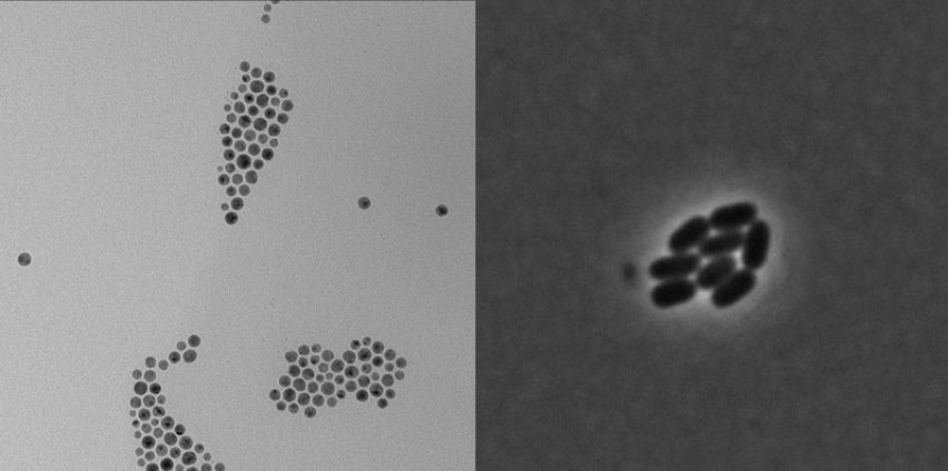 Techniques comparison